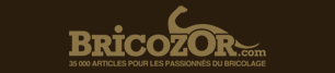 Survivre en 2012 est un site de Bricozor.com